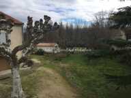 Avignon, ile de la Barthelasse 15 p. sur 4 ha — photo 4