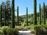 pr. Lourmarin, villa provencale au milieu des vignes — photo 2