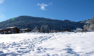 Photo N° 2