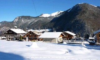 Photo N° 6