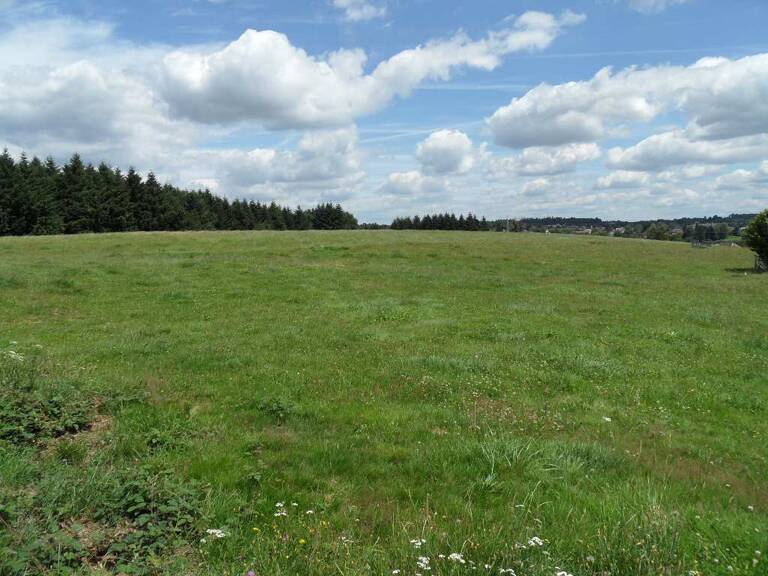 Terrain — photo 1