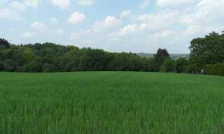 Terrain  5800 m² à vendre à Saint-Yrieix-la-Perche (87500)