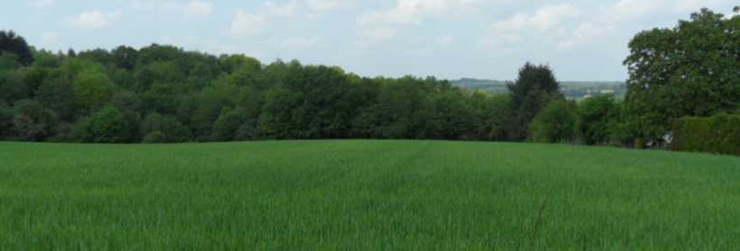 Terrain  5800 m² à vendre à Saint-Yrieix-la-Perche (87500)