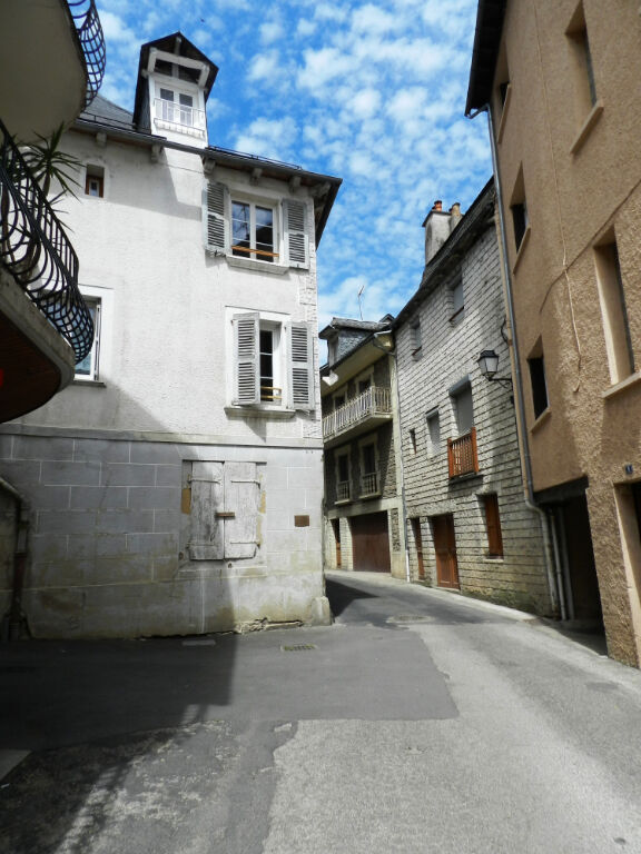 Immeuble 13 pièces  à vendre Saint-Geniez-d'Olt et d'Aubrac 12130