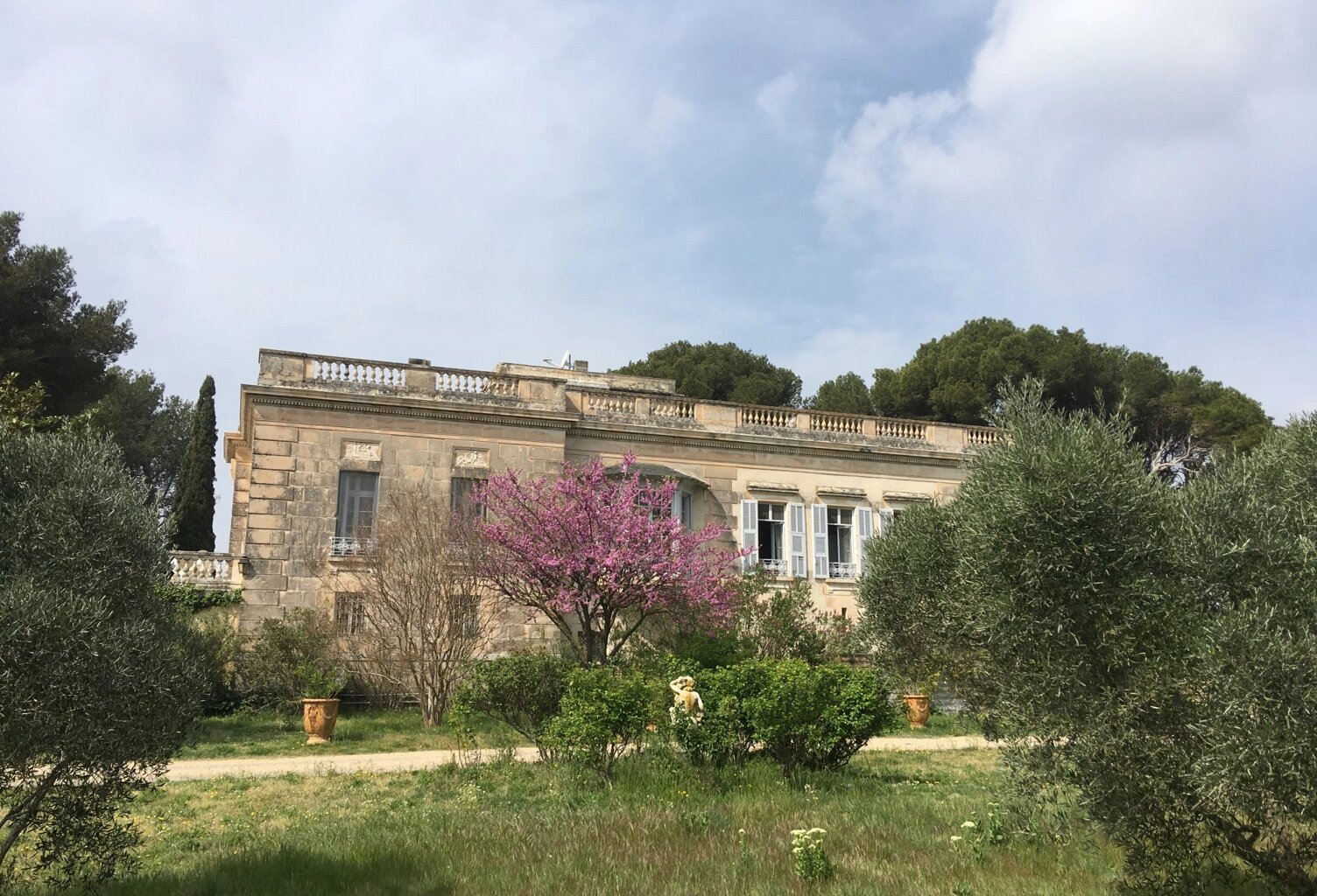 Proche Avignon propriété sur 12 hectares — photo 1