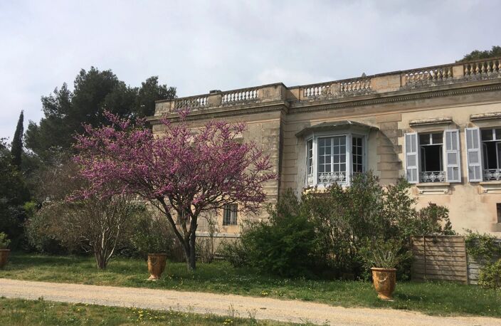 Proche Avignon propriété sur 12 hectares — photo 4