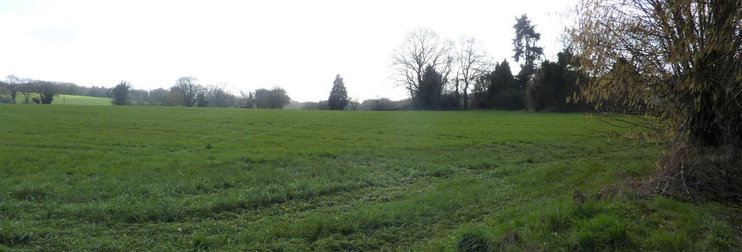 Terrain  1000 m² à vendre à Guern (56310)