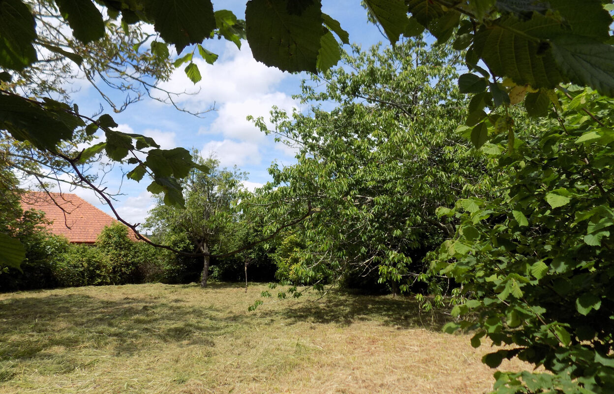 terrain  pièces 809 m2 à vendre à Salies-de-Béarn (64270)