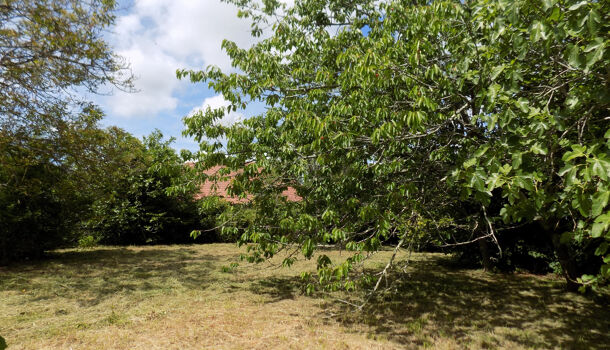 Terrain  à vendre Salies-de-Béarn 64270