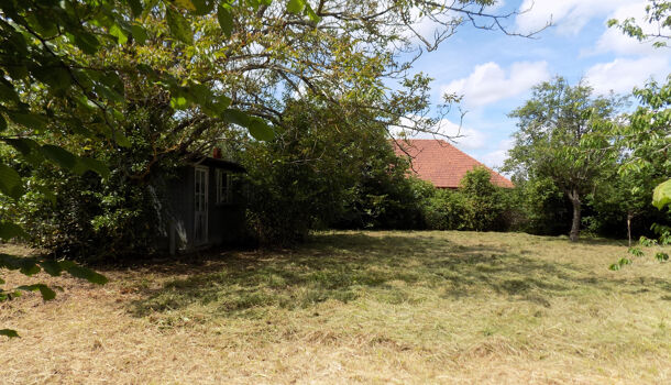 Terrain  à vendre Salies-de-Béarn 64270