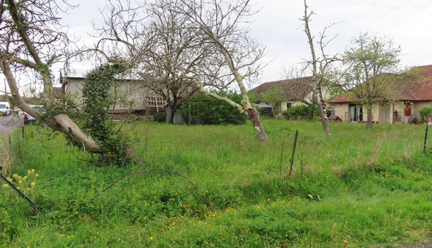 Terrain  à vendre Salies-de-Béarn 64270