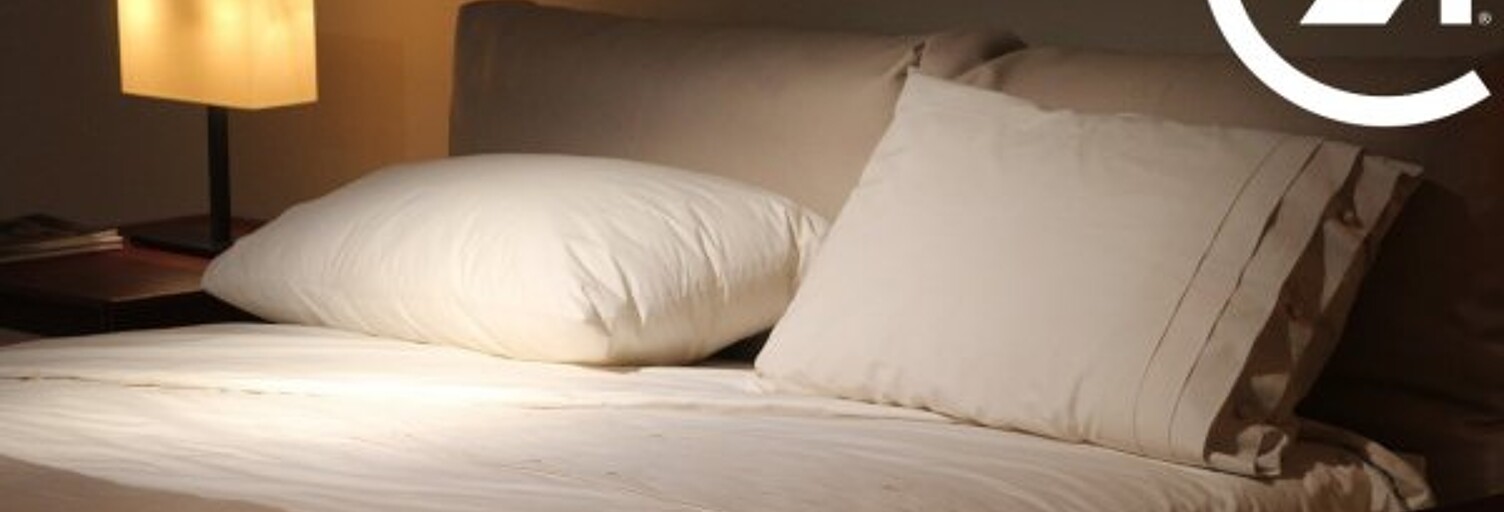 Commerce  800 m² à vendre à Perpignan (66000)