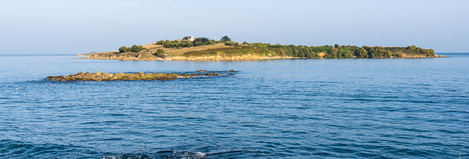 Immeuble   m² à vendre à Santec (29250)