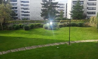 Photo N° 6