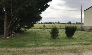 Photo N° 6