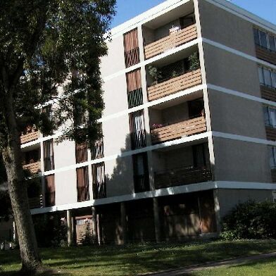 Appartement 2 pièces 810 €