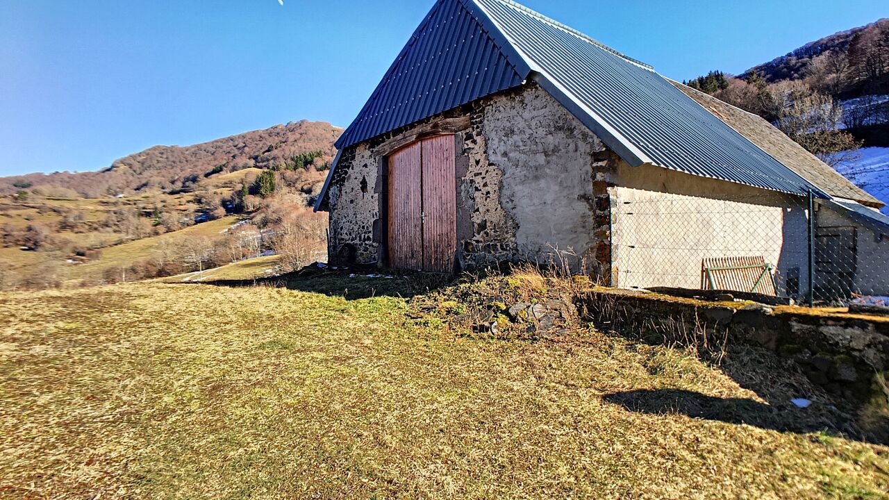 immeuble  pièces 157 m2 à vendre à Compains (63610)