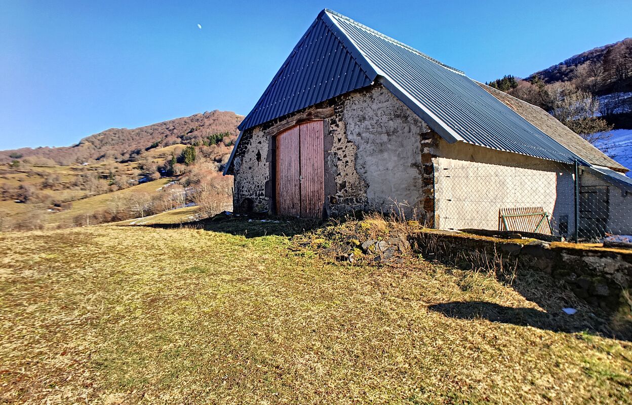 immeuble  pièces 157 m2 à vendre à Compains (63610)