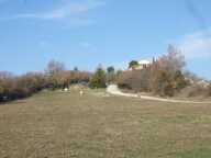 Maison sur 2 hectares de terrain — photo 4