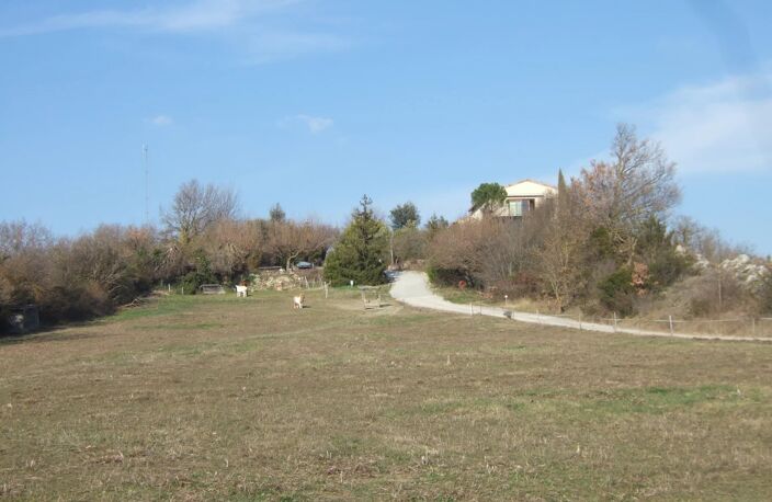 Maison sur 2 hectares de terrain — photo 4