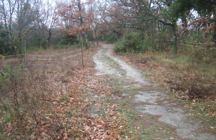 Maison sur 2 hectares de terrain — photo 5
