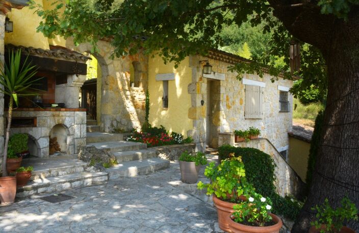 MONTAUROUX - DOMAINE À VENDRE — photo 4
