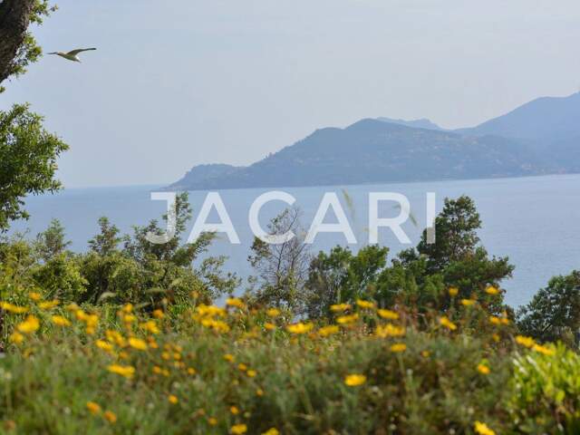 CANNES - CROIX DES GARDES - REZ DE JARDIN — photo du bien