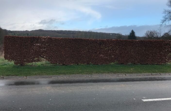 Vente terrain  1200 m² Boubers-sur-Canche (62270) — photo 2