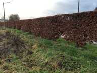 Terrain à construire  1200 m²  — photo 3