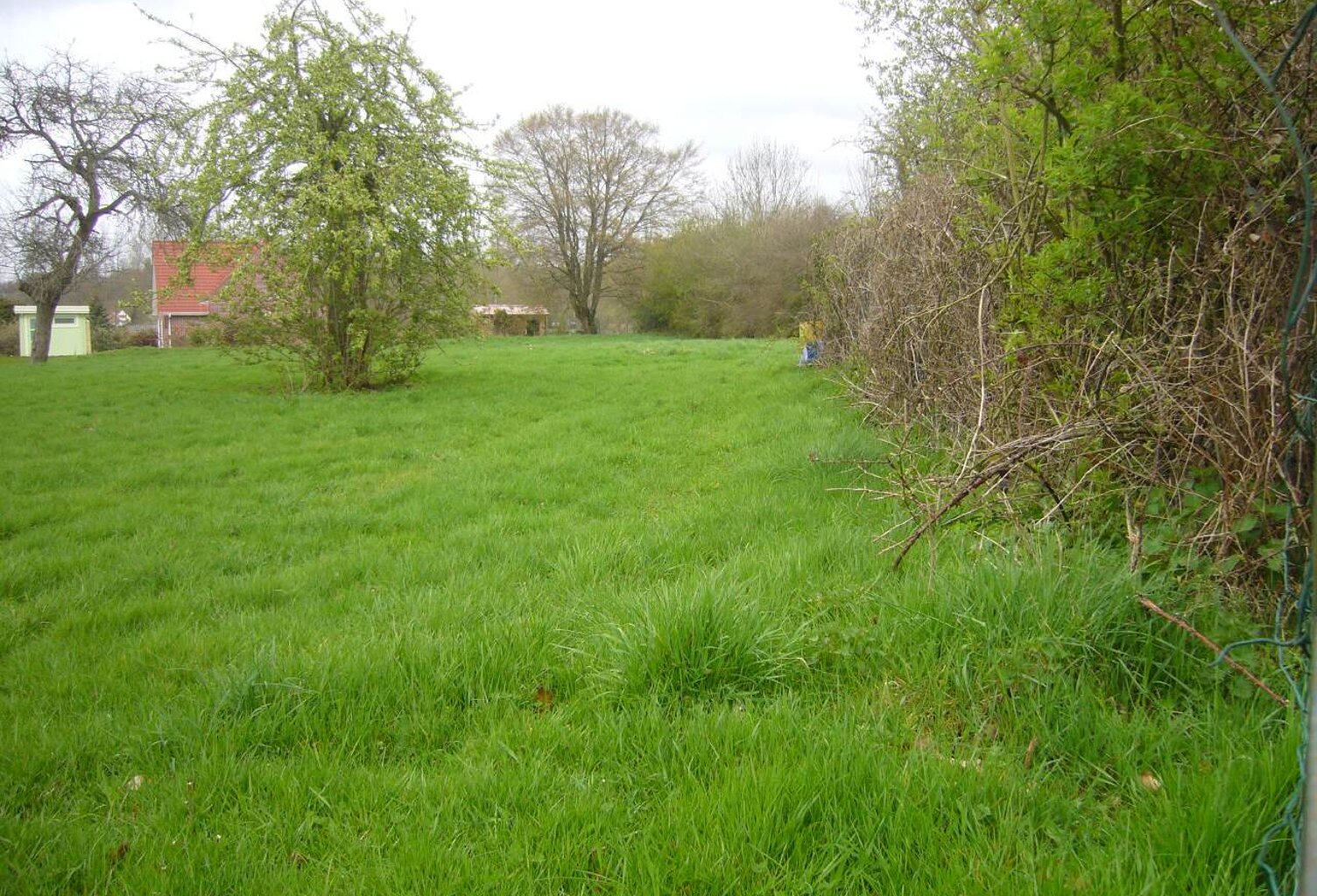 Vente terrain  1100 m² Hesdin-la-Forêt (62140) — photo 1