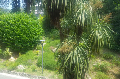 Appartement 2 pièces 1300 €