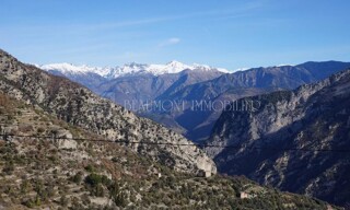 Photo N° 4