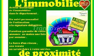 Maison 2 Pièces 35 m² à vendre à Mehun-sur-Yèvre (18500)