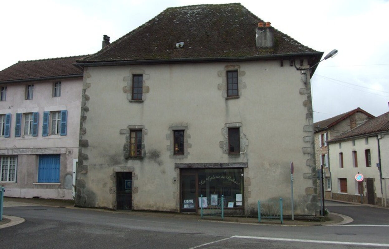 maison 12 pièces 400 m2 à vendre à Oradour-sur-Vayres (87150)