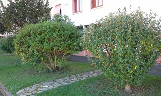 Photo N° 6