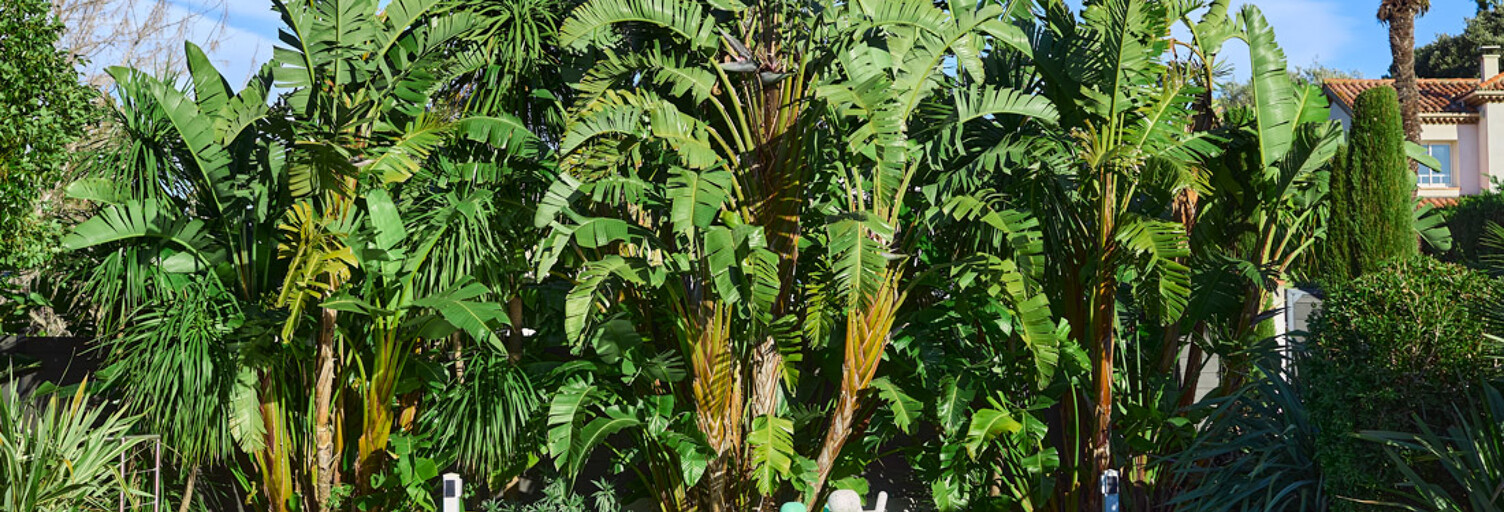 Maison 6 Pièces 220 m² à louer à Antibes (06160)