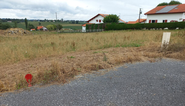 Terrain  à vendre Béhasque-Lapiste 64120