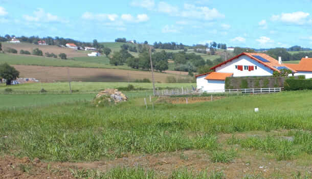 Terrain  à vendre Béhasque-Lapiste 64120