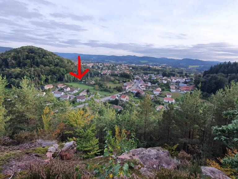 TERRAIN — photo 1