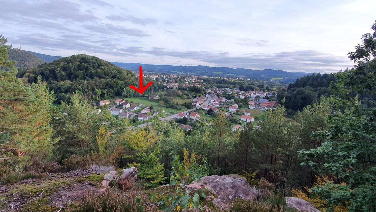 terrain  pièces 3900 m2 à vendre à Bruyères (88600)