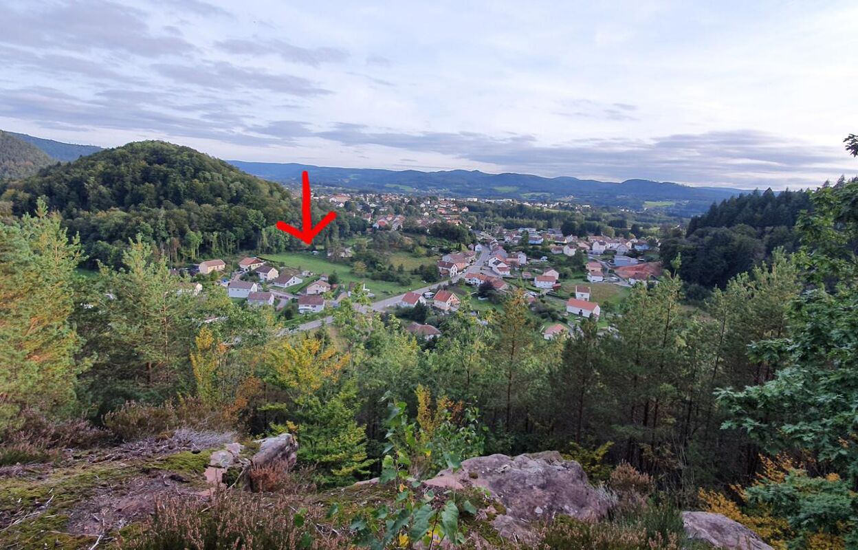 terrain  pièces 3900 m2 à vendre à Bruyères (88600)