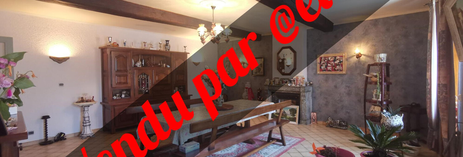 Maison 8 Pièces 230 m² à vendre à Villieu-Loyes-Mollon (01800)
