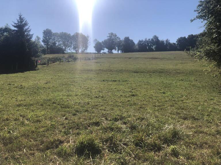 Terrain à construire  1646 m²  — photo 1