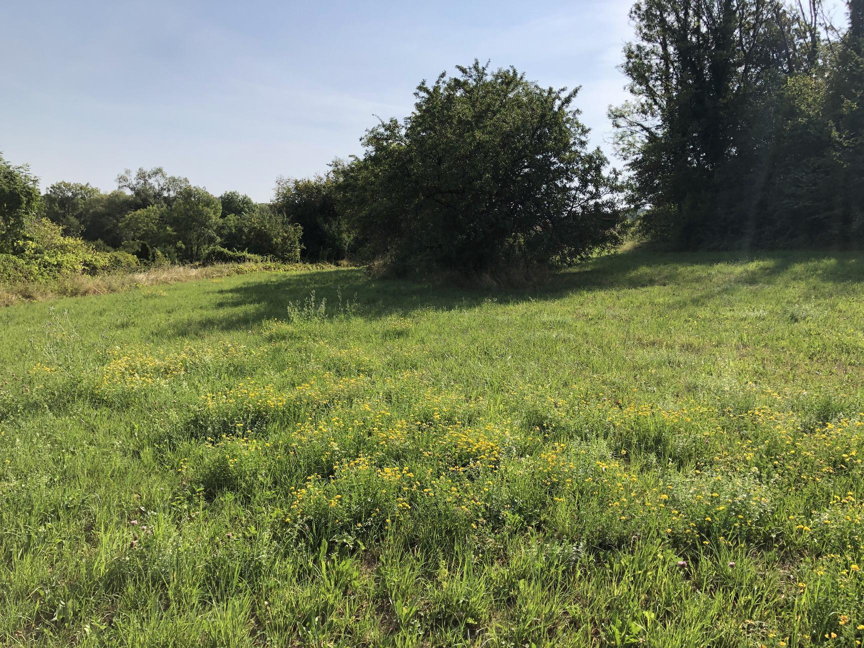 Vente Terrain 3062 m² à Dommartin-Aux-Bois 98 000 ¤