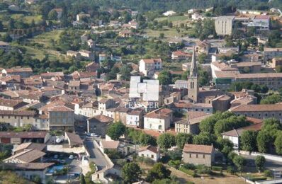 vente immeuble 310 000 € à proximité de Saint-Florent-sur-Auzonnet (30960)