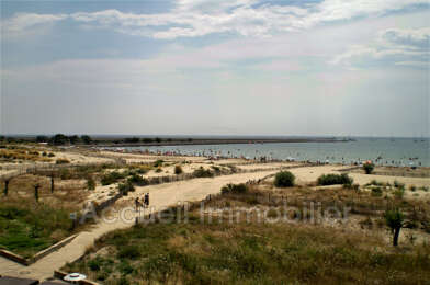 Appartement 1 pièces 436 €