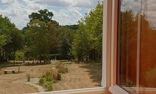 Photo N° 6