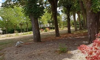 Photo N° 9