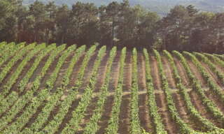 Maison  500000 m² à vendre à Limoux (11300)