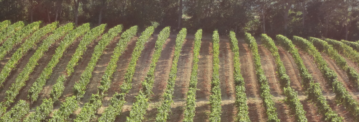 Maison  500000 m² à vendre à Limoux (11300)